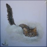 27 Katze im Schnee Acryl auf Leinwand;
50 x 50 cm;
verschenkt